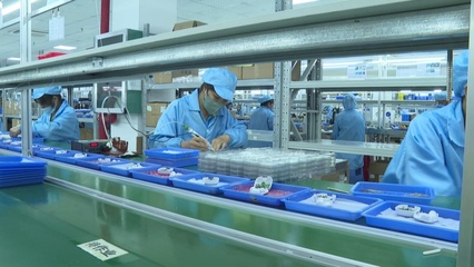 賓陽縣:規(guī)上企業(yè)工業(yè)運(yùn)行向好 助力縣域經(jīng)濟(jì)揚(yáng)帆&ldquo;遠(yuǎn)航&rdquo;